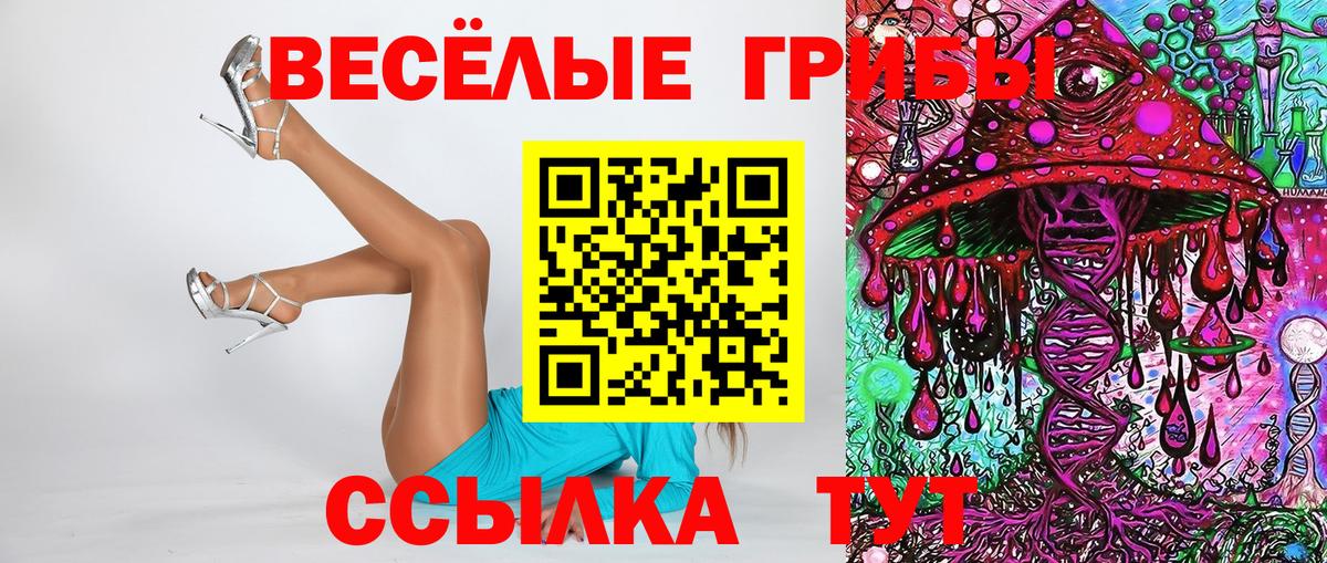 Чусовой  Псилоцибиновые грибы ЛСД  Псилоцибиновые грибы GOLDEN TEACHER  Вход с VPN 